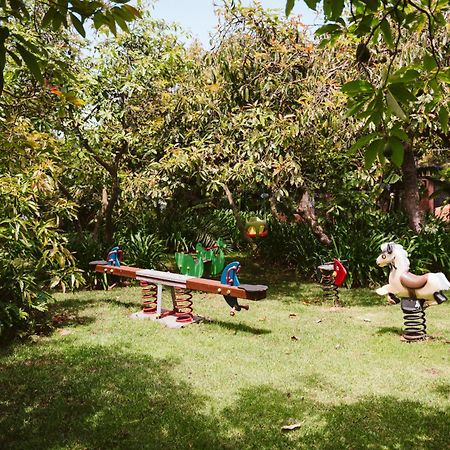 Homeforguest Rural House With Garden El Laurel Tacoronte Ngoại thất bức ảnh