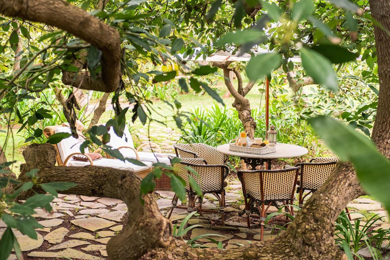 Homeforguest Rural House With Garden El Laurel Tacoronte Ngoại thất bức ảnh